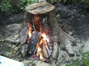 stump-burning